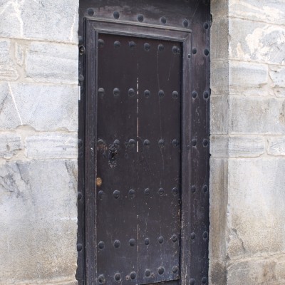 Peronea-detallea.jpg